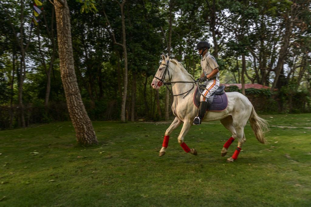 Gokarna Forest Resort Κατμαντού Εξωτερικό φωτογραφία