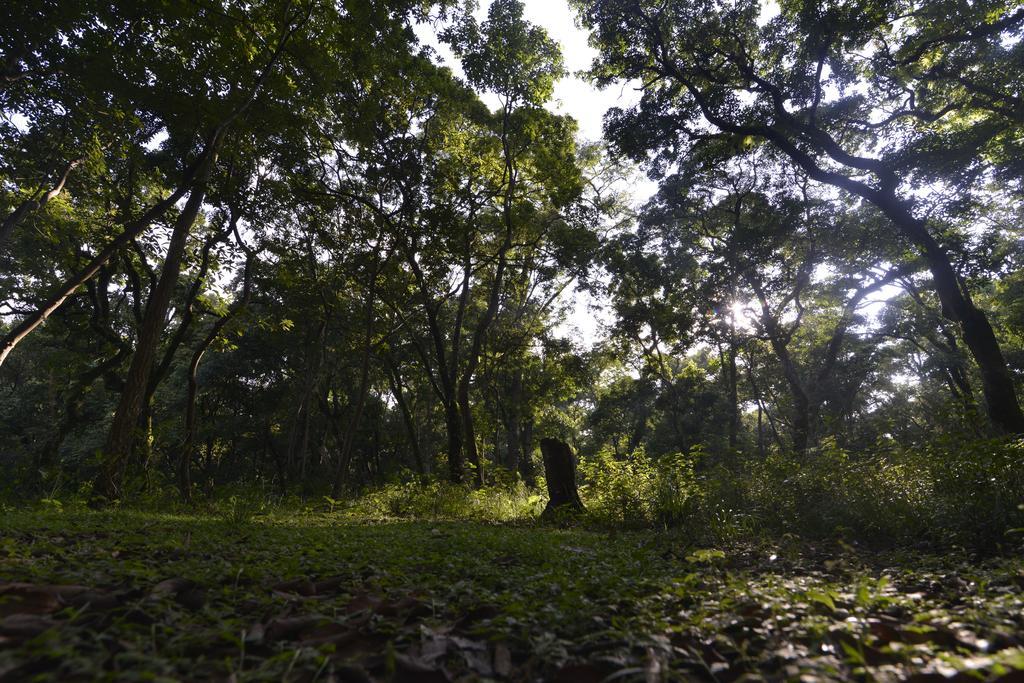 Gokarna Forest Resort Κατμαντού Εξωτερικό φωτογραφία
