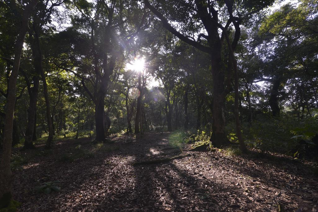 Gokarna Forest Resort Κατμαντού Εξωτερικό φωτογραφία
