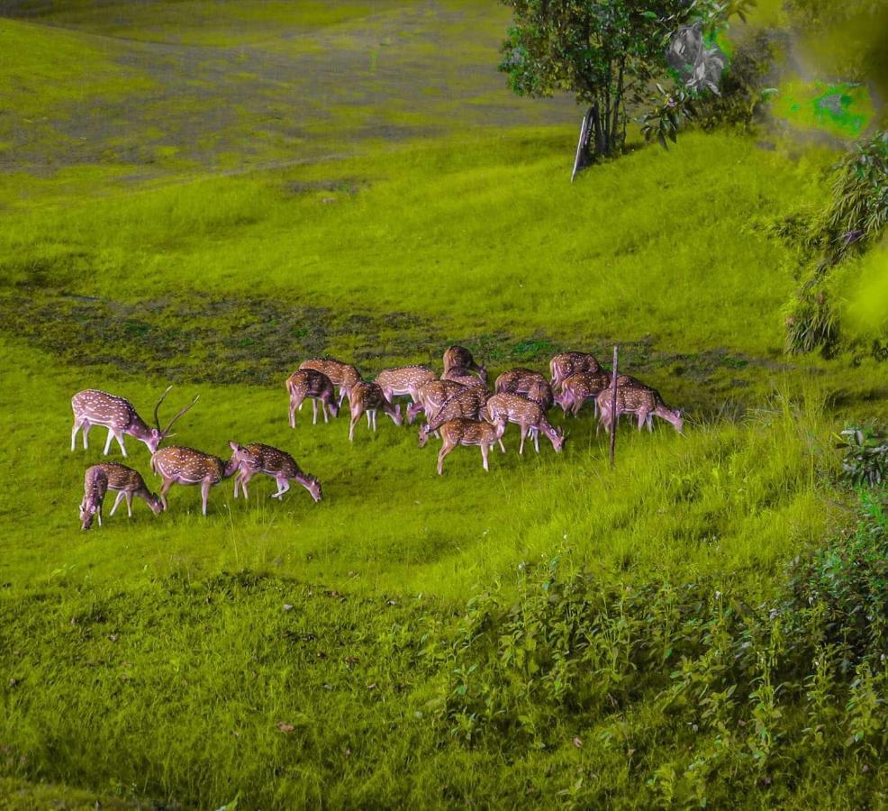 Gokarna Forest Resort Κατμαντού Εξωτερικό φωτογραφία